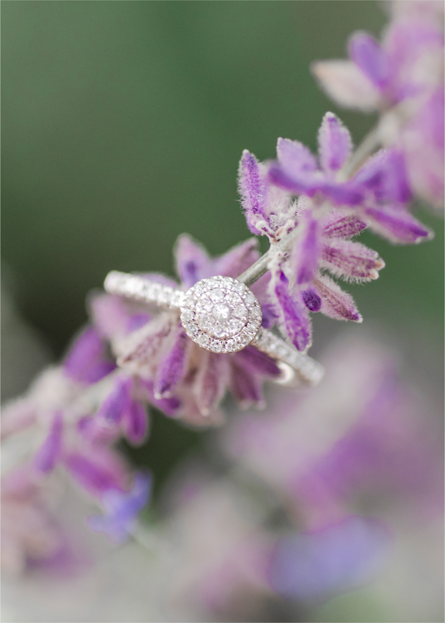 Summer Engagement Session at Sandstone Ranch in Longmont Colorado near Boulder | Britni Girard Photography | Country Engagement