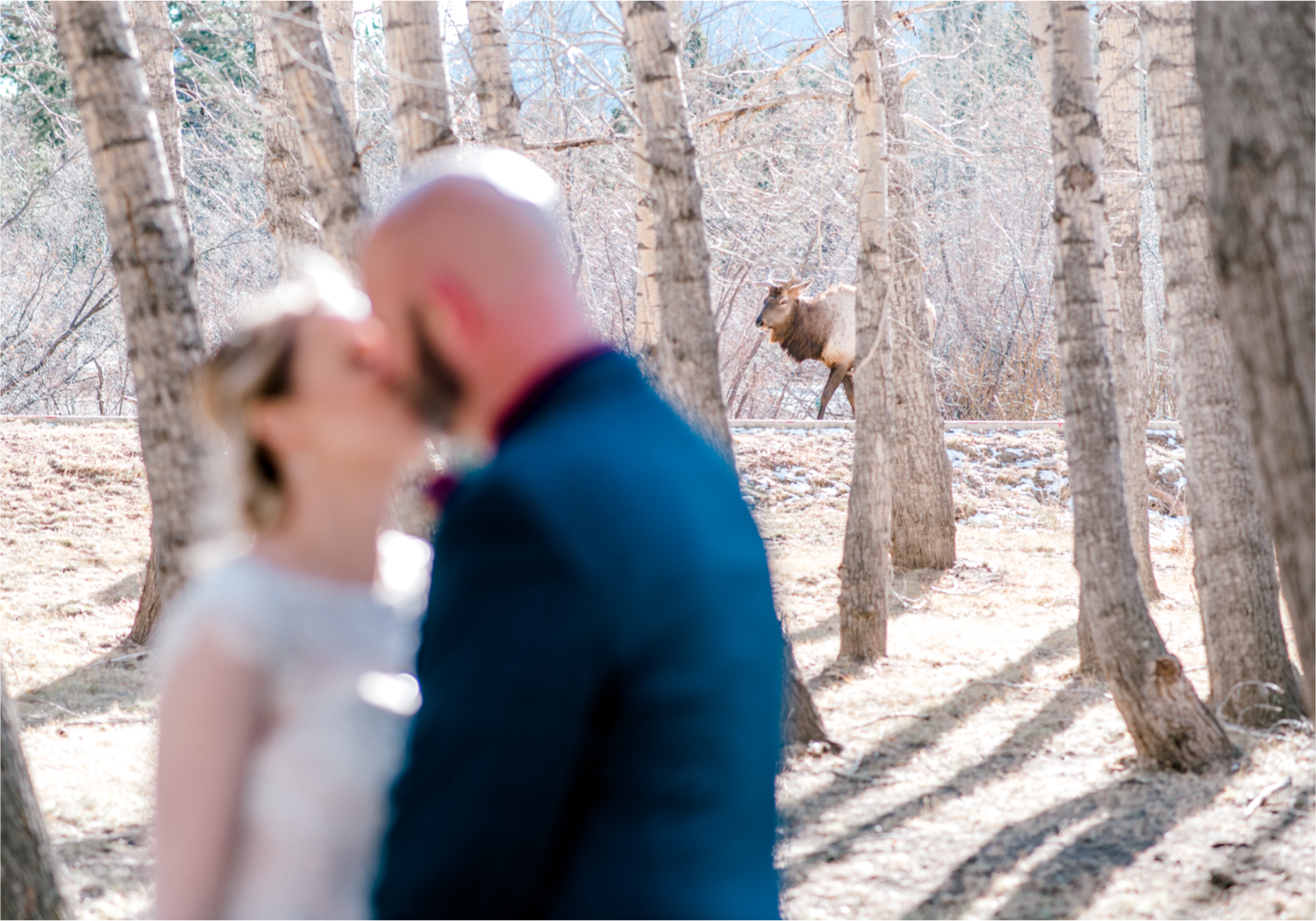 Snowy Winter Wedding in Estes Park Colorado at Black Canyon Inn | Britni Girard Photography