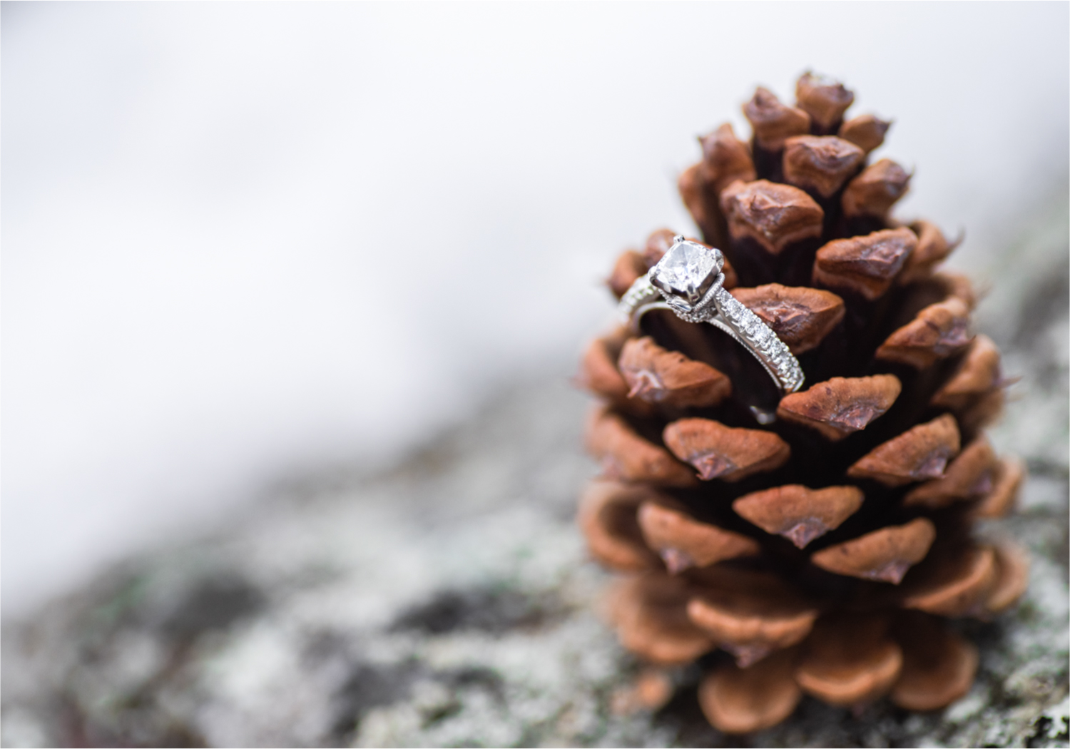 Estes Park Winter Engagement near Stanley Hotel | Britni Girard Photography Colorado Wedding Photographer | Rocky Mountain National Park