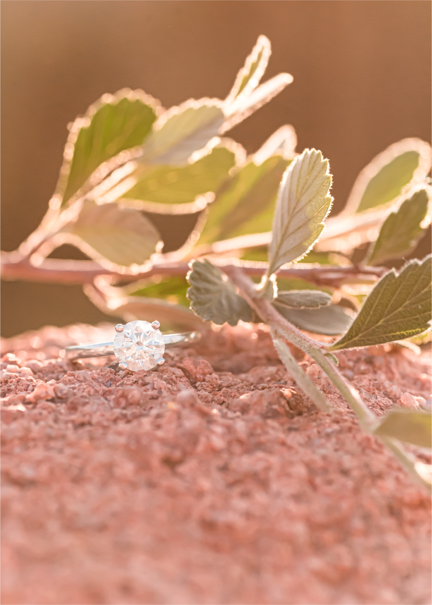 Sunset Engagement at Garden of the Gods in Colorado Springs | Britni Girard Photography | Wedding Photo Video Team | Destination Weddings and Engagements