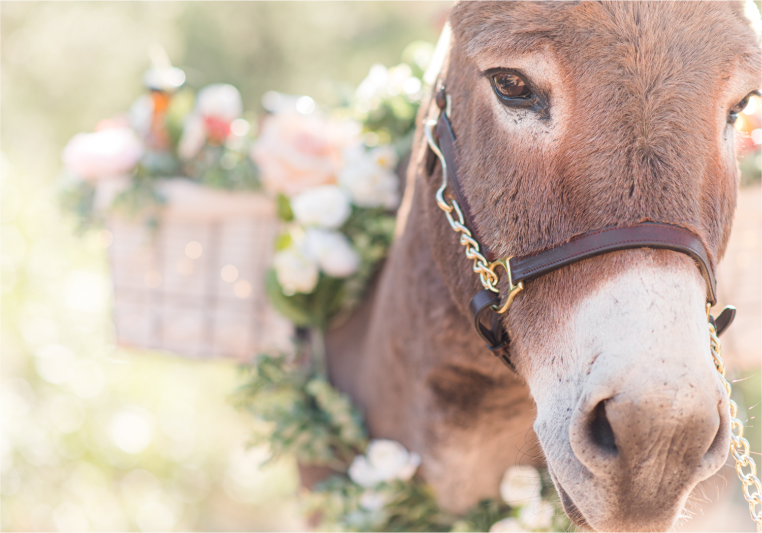 Autumn mountain wedding in Florence Colorado | Britni Girard Photography | Colorado Wedding Photo and Video Team | Mountainside Cabin for intimate wedding with rustic farm-tables and romantic details | Wedding Colors White, Dusty Rose and Sage | Florals by Skyway Creations 