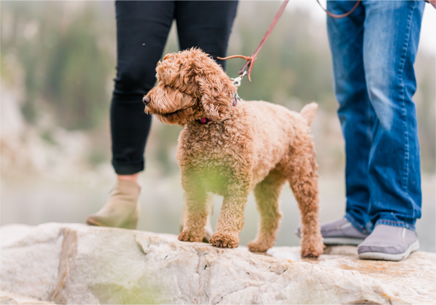 Rainy Summer Engagement at Mirror Lake in Medicine Bow National Park | Britni Girard Photography | Colorado Wedding Photographer and Videographer | Husband Wife photography team | Mountain Engagement